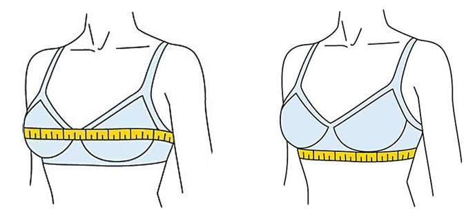 How to measure bust and band size